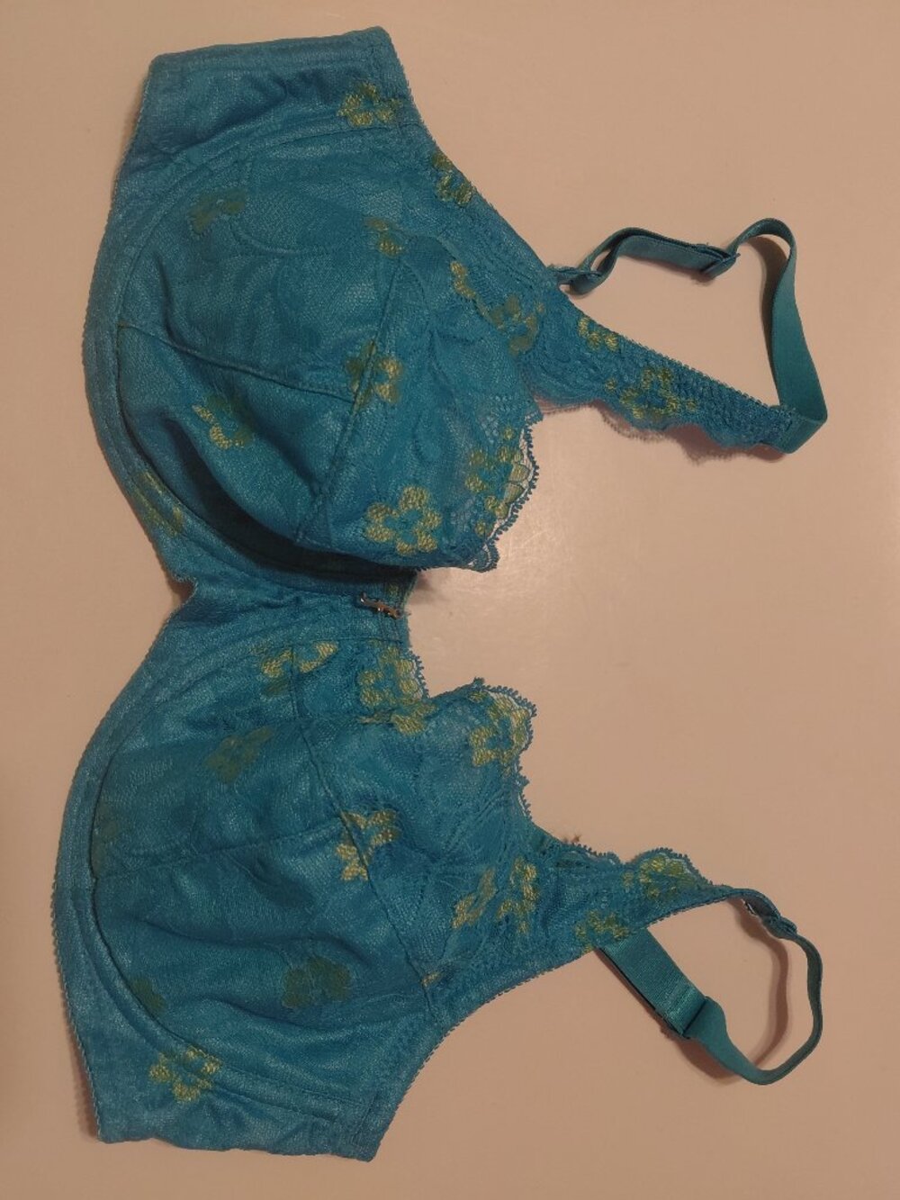 NWOT fredericks of Hollywood 40C Woman's push up underwire BRA Blue